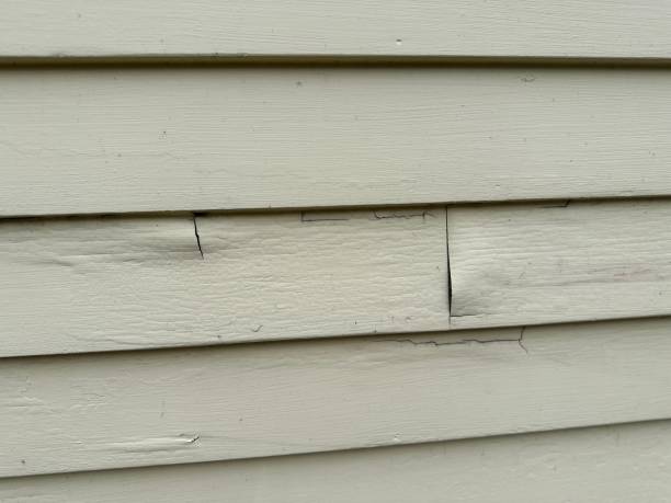 Affordable siding repair and maintenance services in Advance, NC